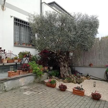 Sogno Guest house Castel Fusano